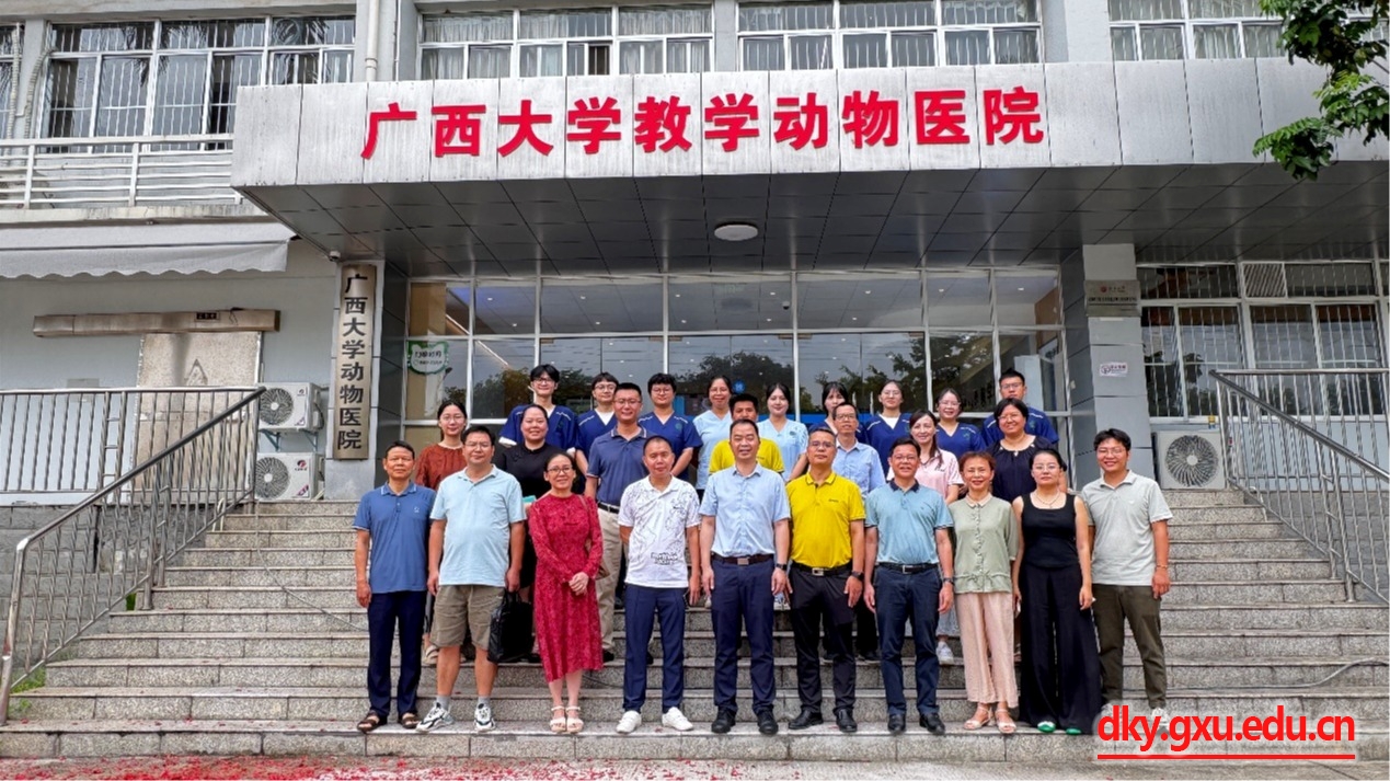 太阳集团2138网址