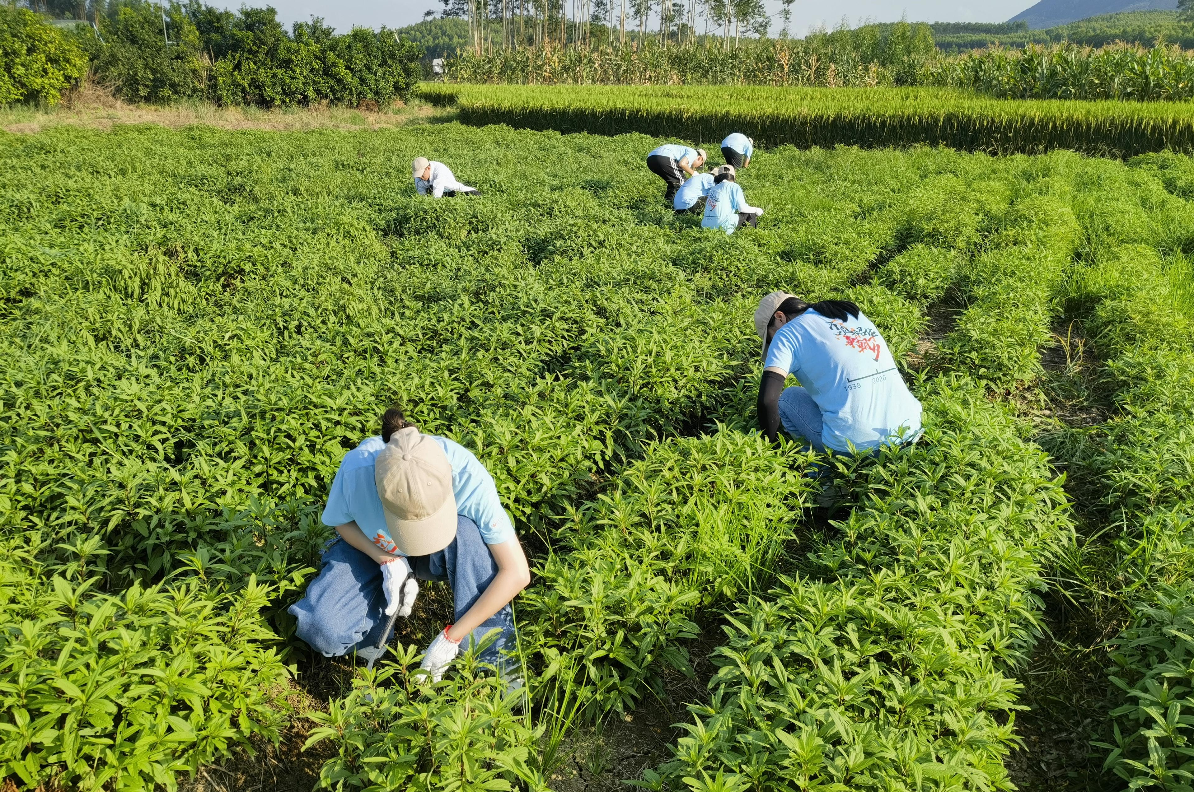 太阳集团2138网址