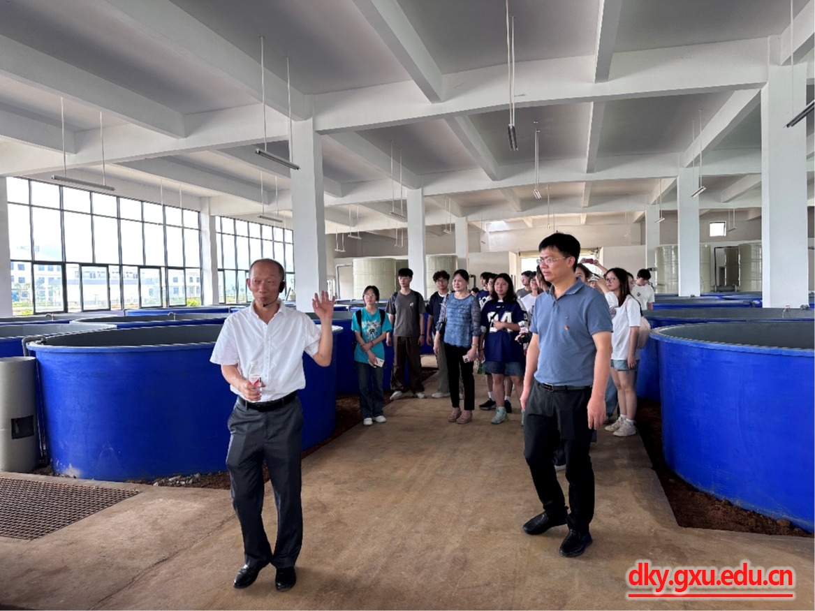 太阳集团2138网址