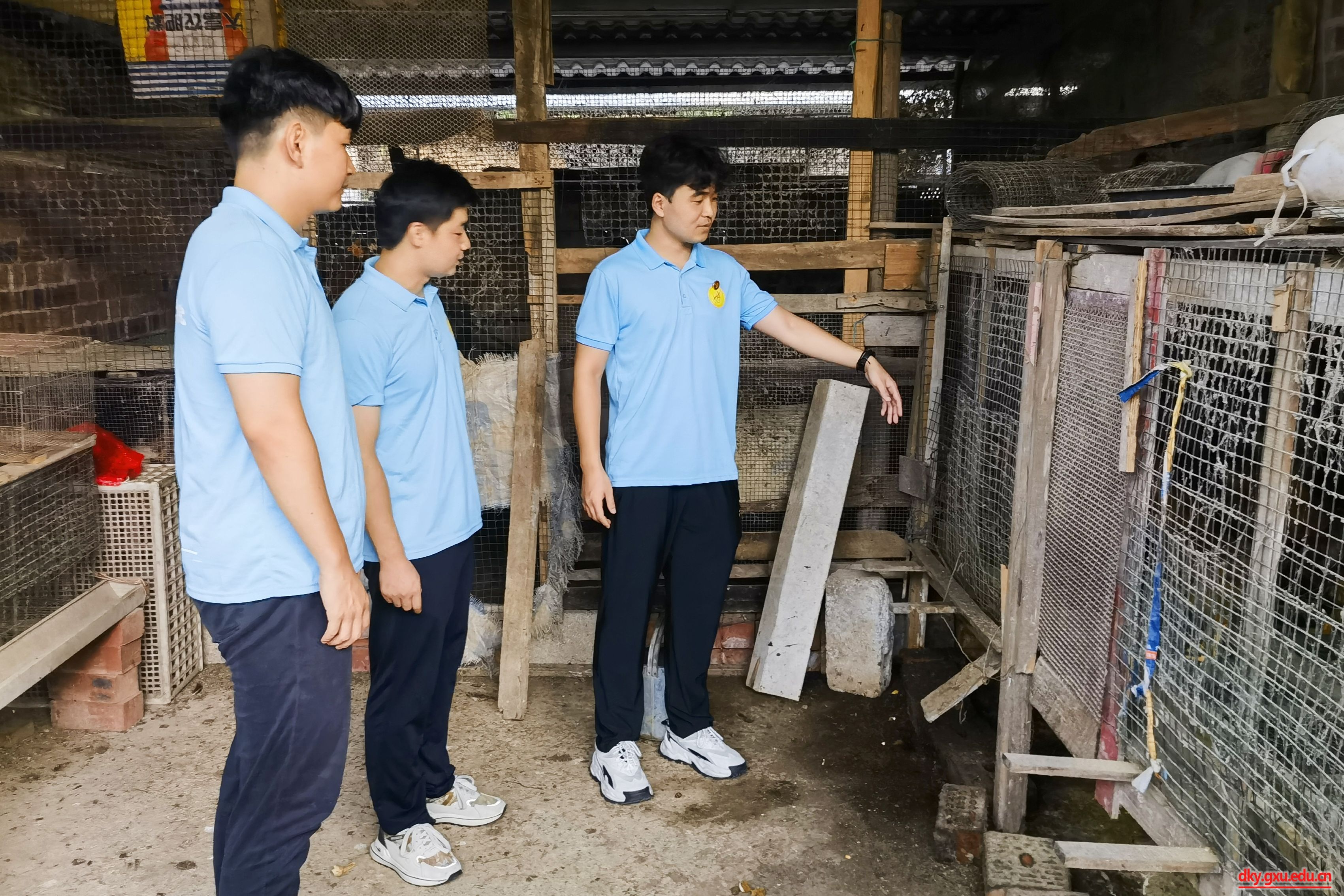 太阳集团2138网址