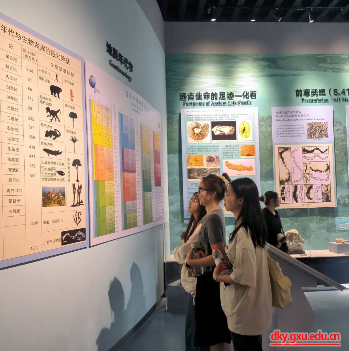 太阳集团2138网址