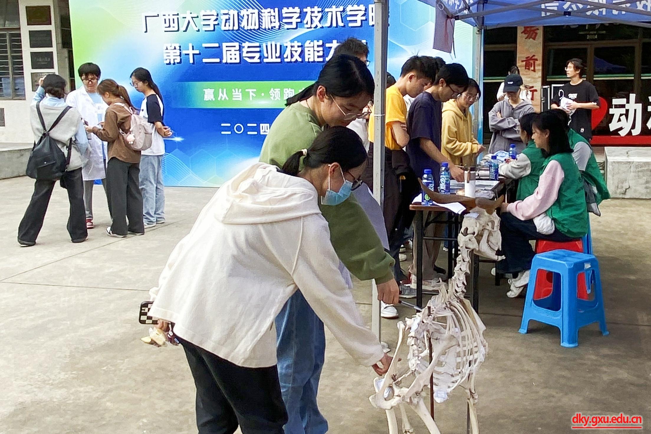 太阳集团2138网址