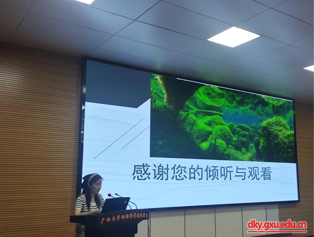 太阳集团2138网址