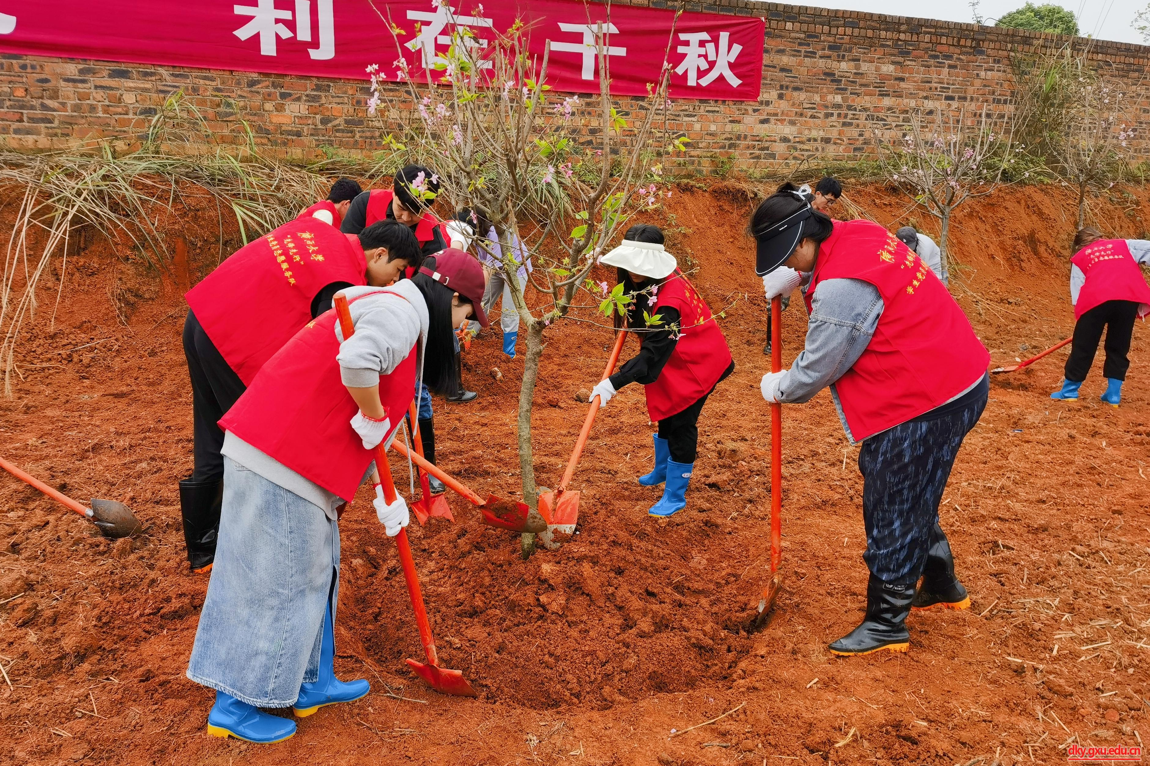 太阳集团2138网址
