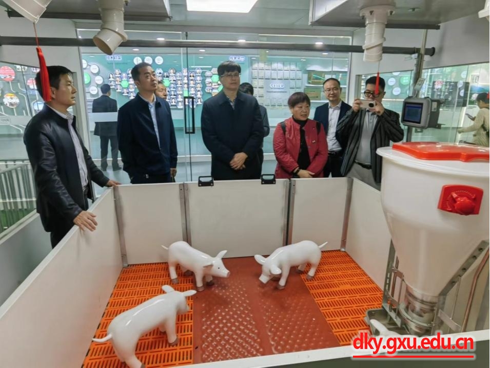太阳集团2138网址