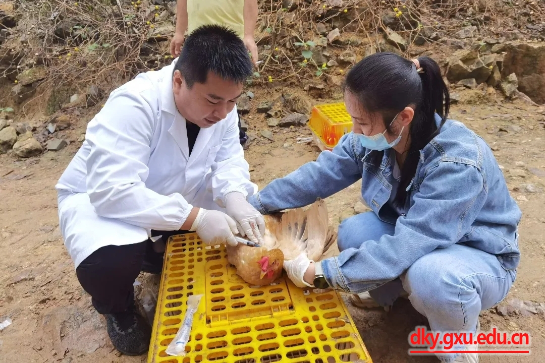 太阳集团2138网址