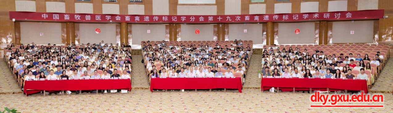 太阳集团2138网址