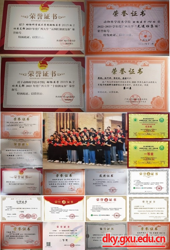 太阳集团2138网址