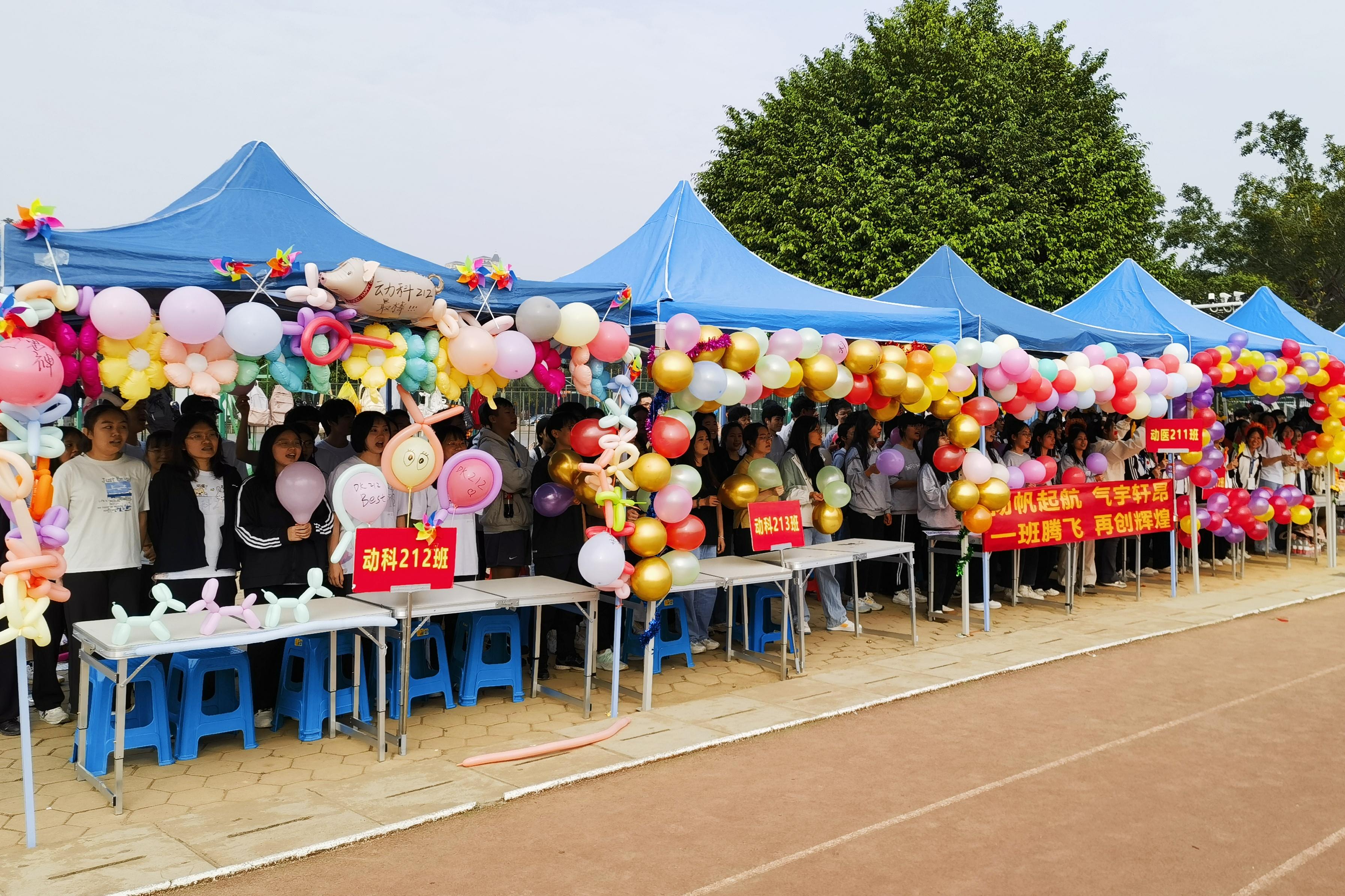 太阳集团2138网址