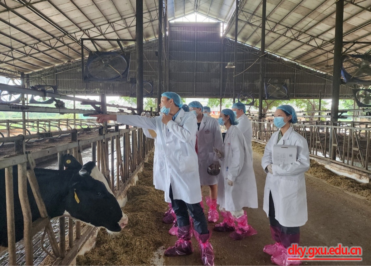 太阳集团2138网址