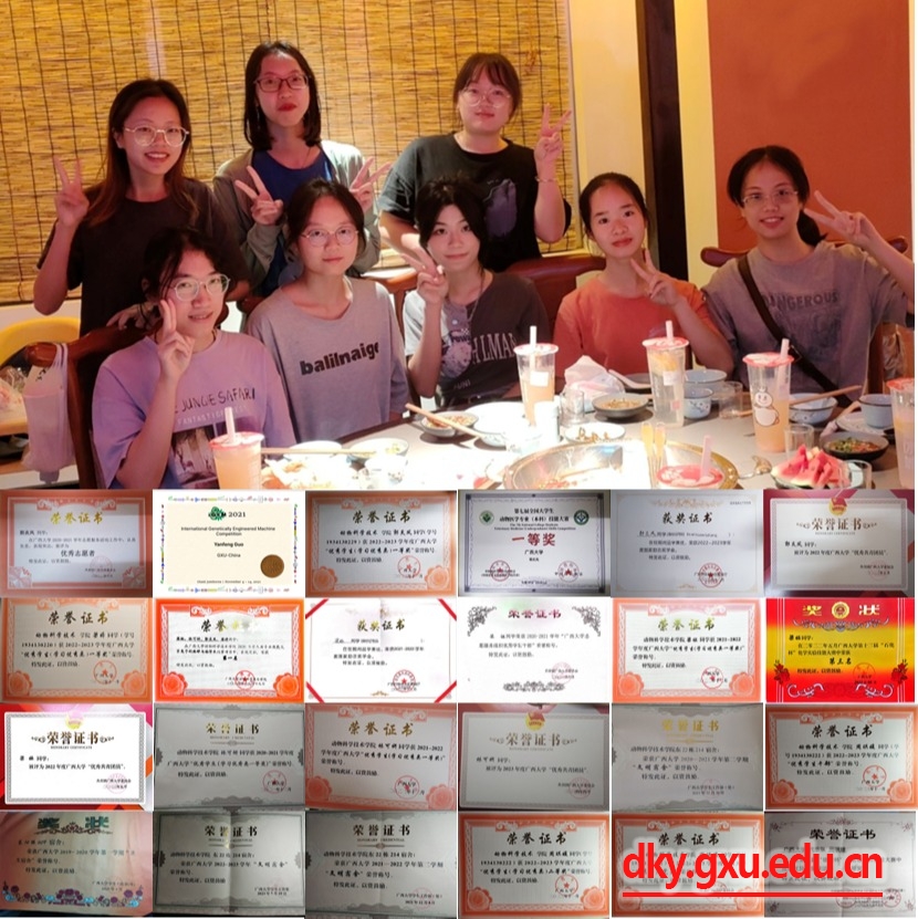 太阳集团2138网址