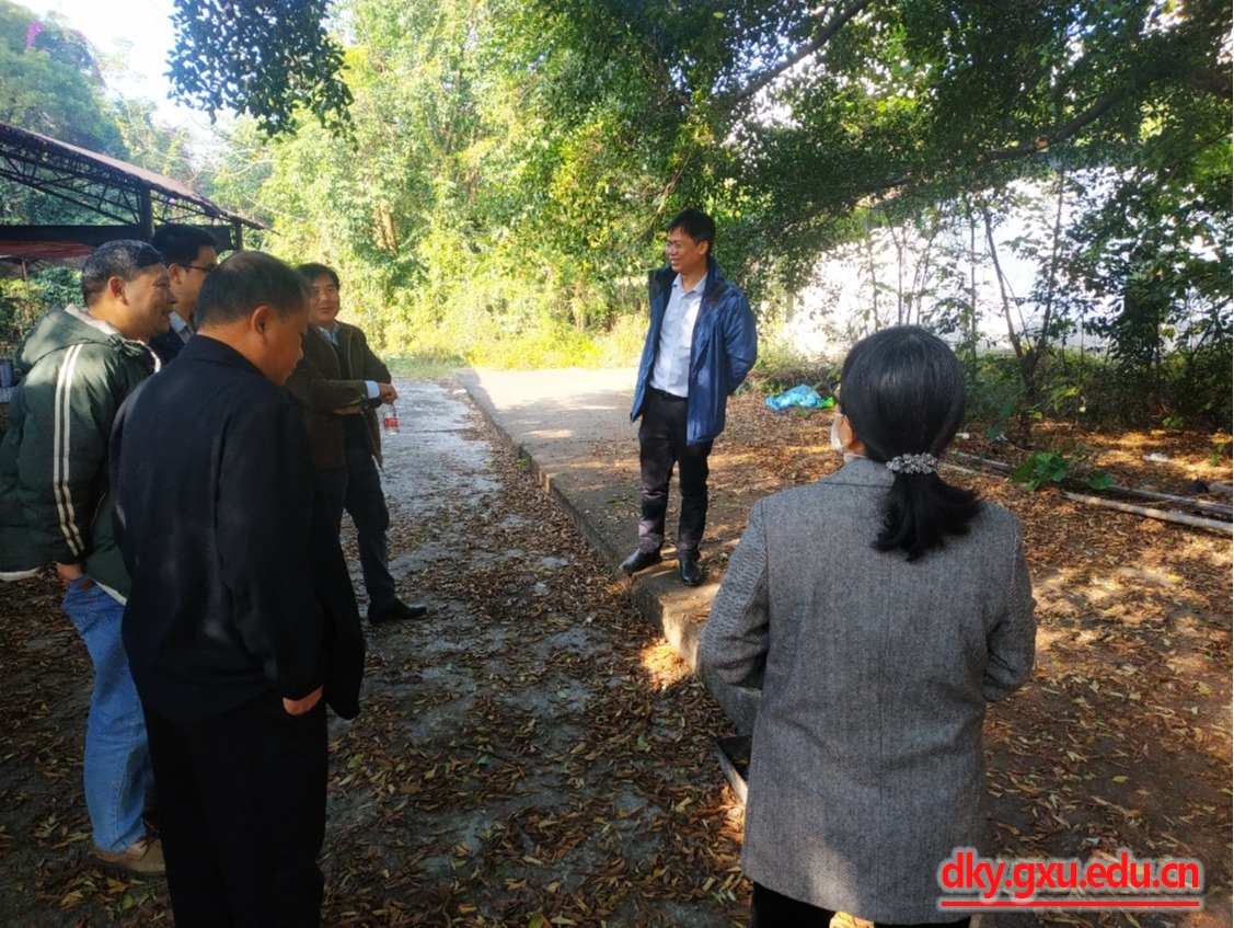 太阳集团2138网址