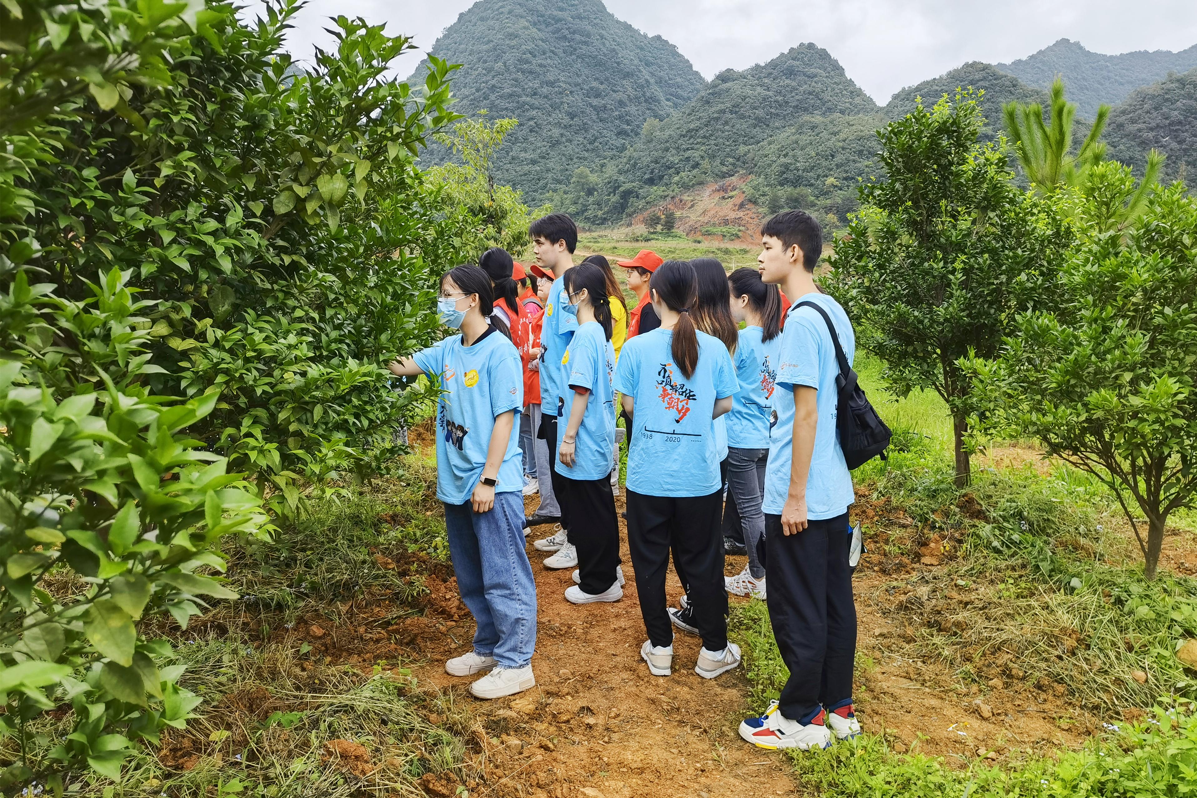 太阳集团2138网址