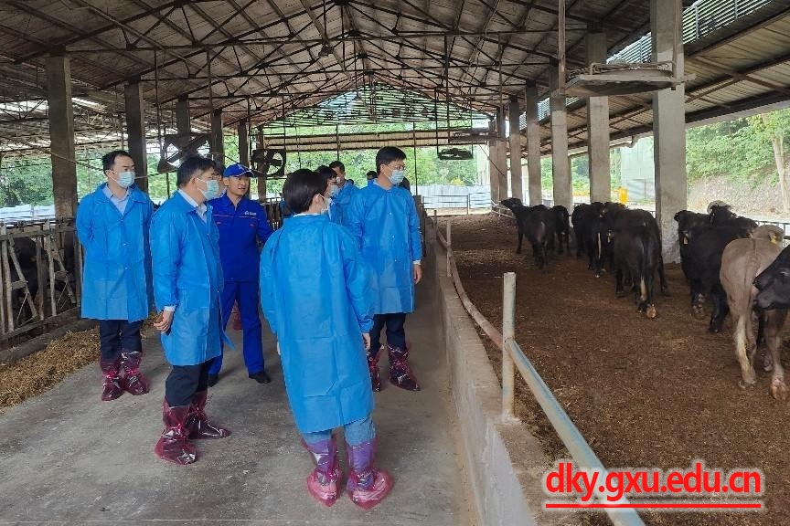 太阳集团2138网址