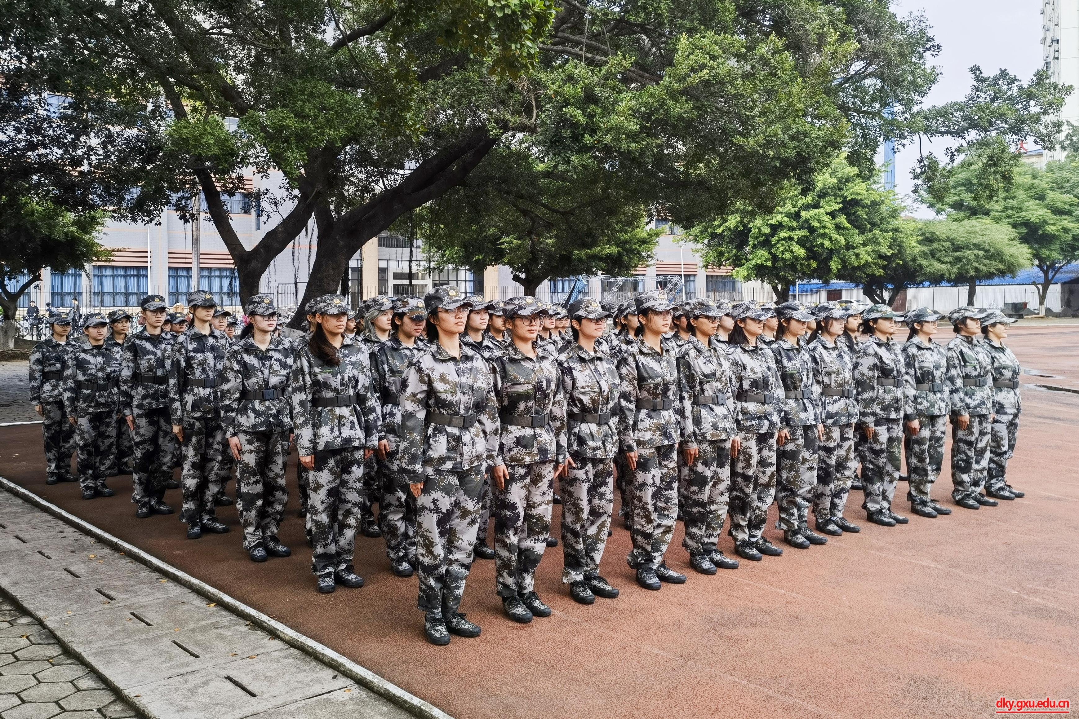 太阳集团2138网址